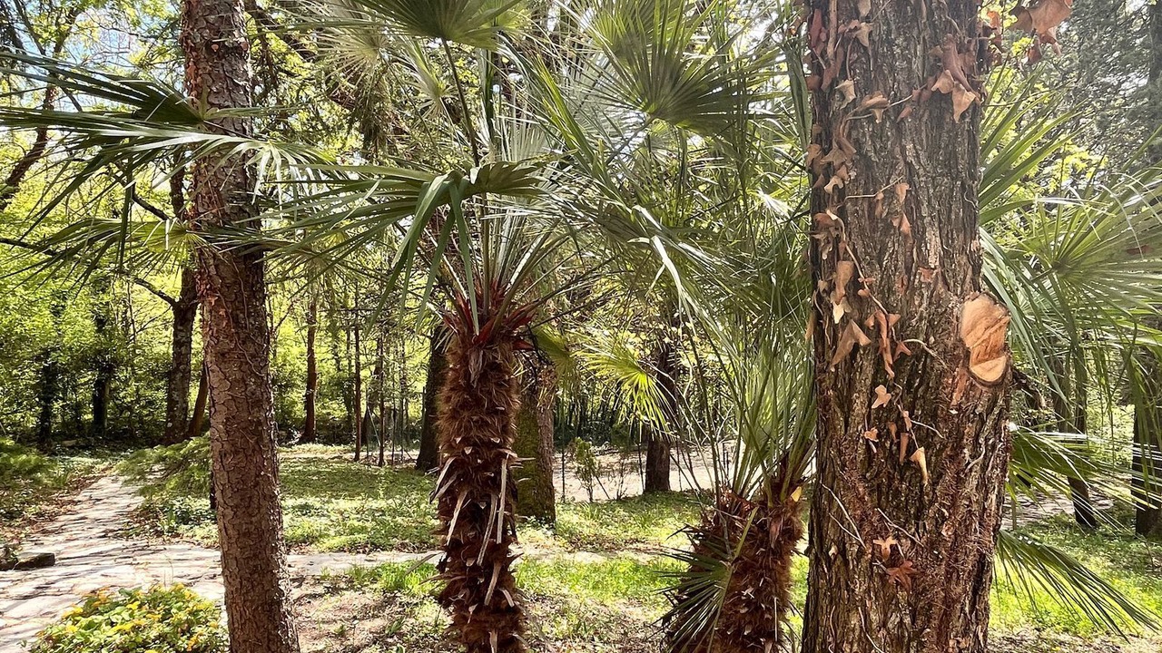 Photo of Outdoor in Vinchiaturo