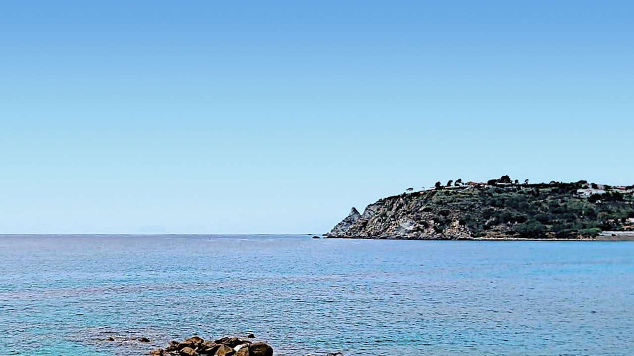 Photo of Others in Palmi