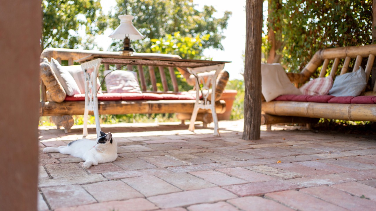 Photo of Patio Balcony in Santarello