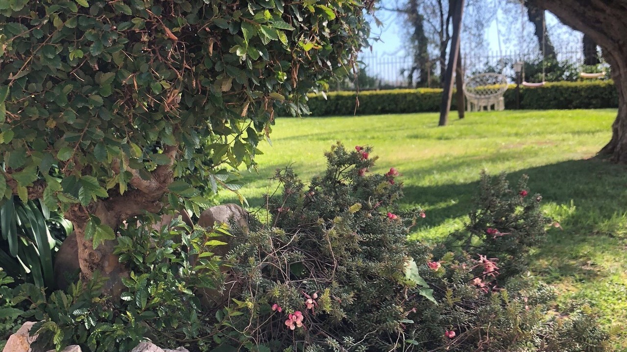 Photo of Outdoor in Ogliara