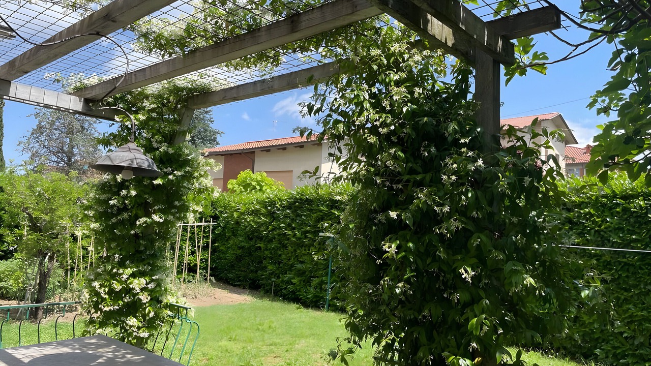 Photo of Outdoor in Sarteano