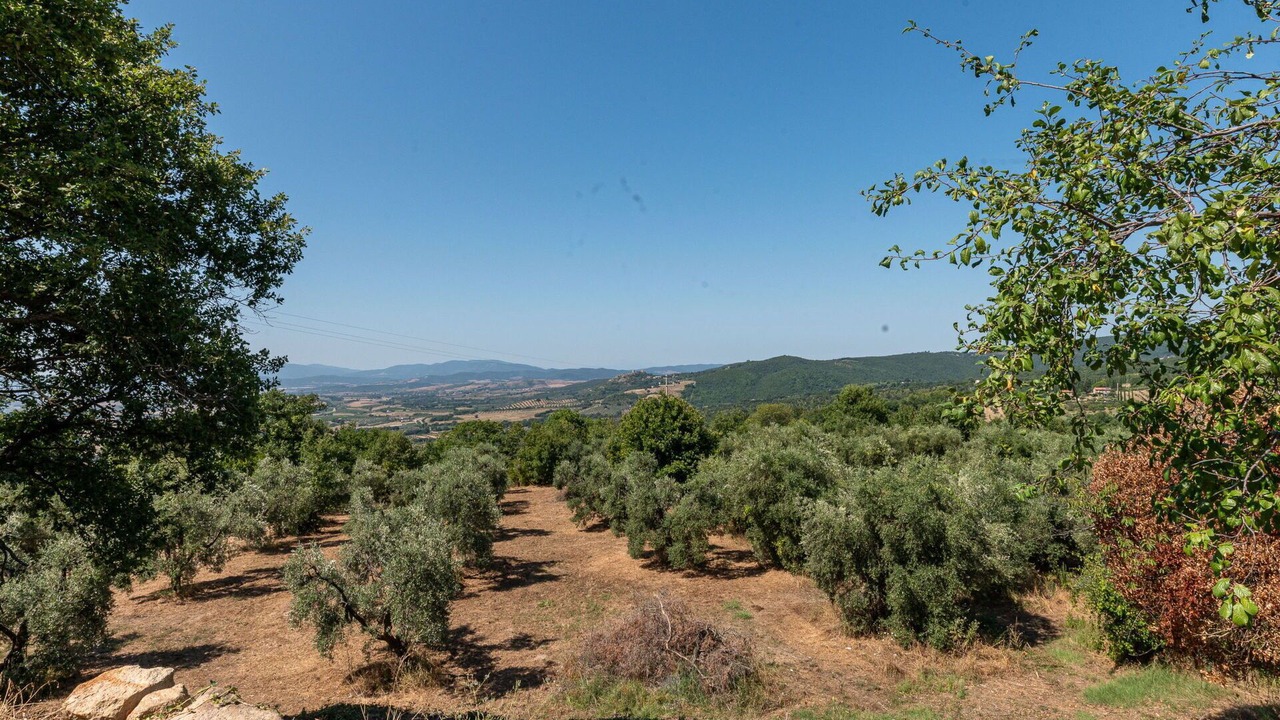 Photo of Others in Roccastrada