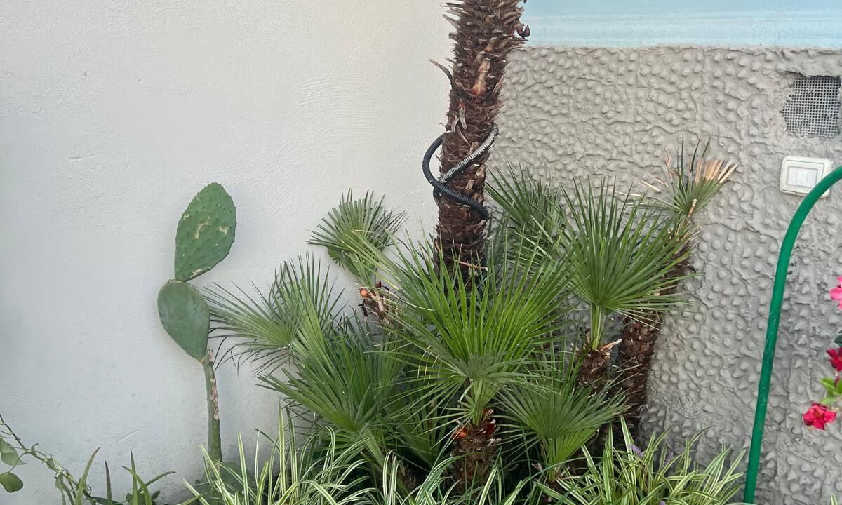 Photo of Outdoor in Pollena Trocchia