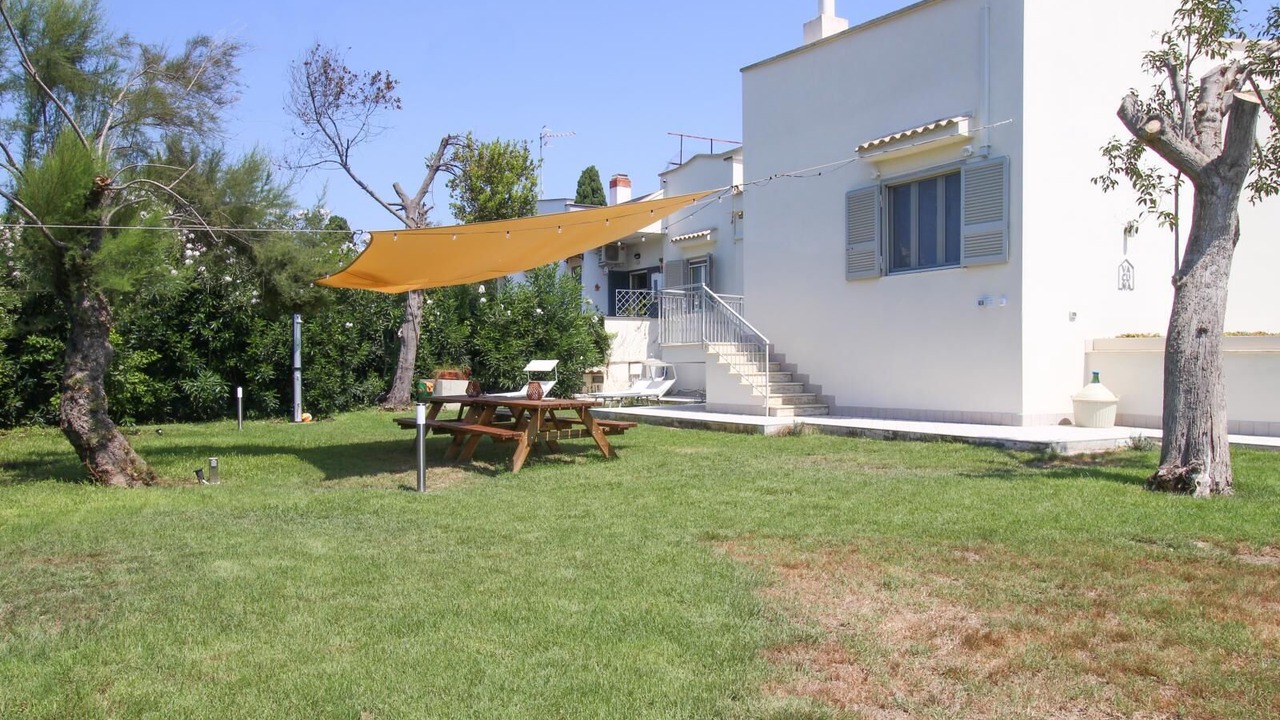 Photo of Outdoor in Licola