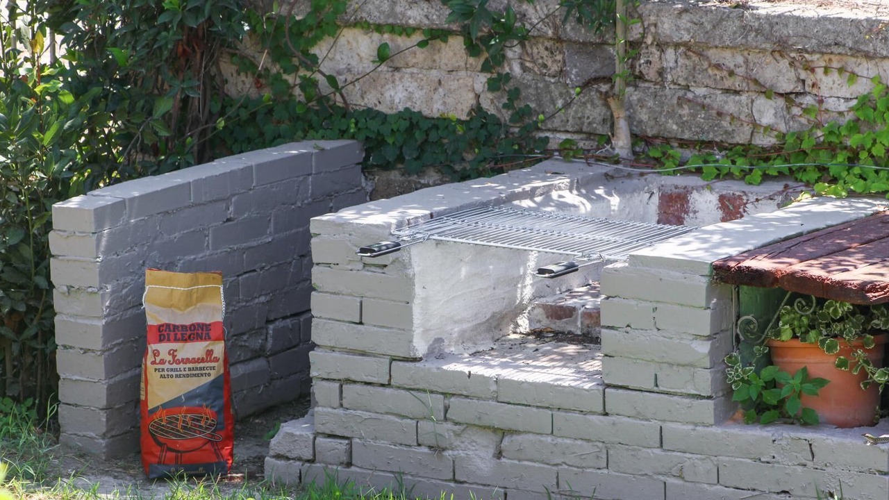 Photo of Outdoor in Licola