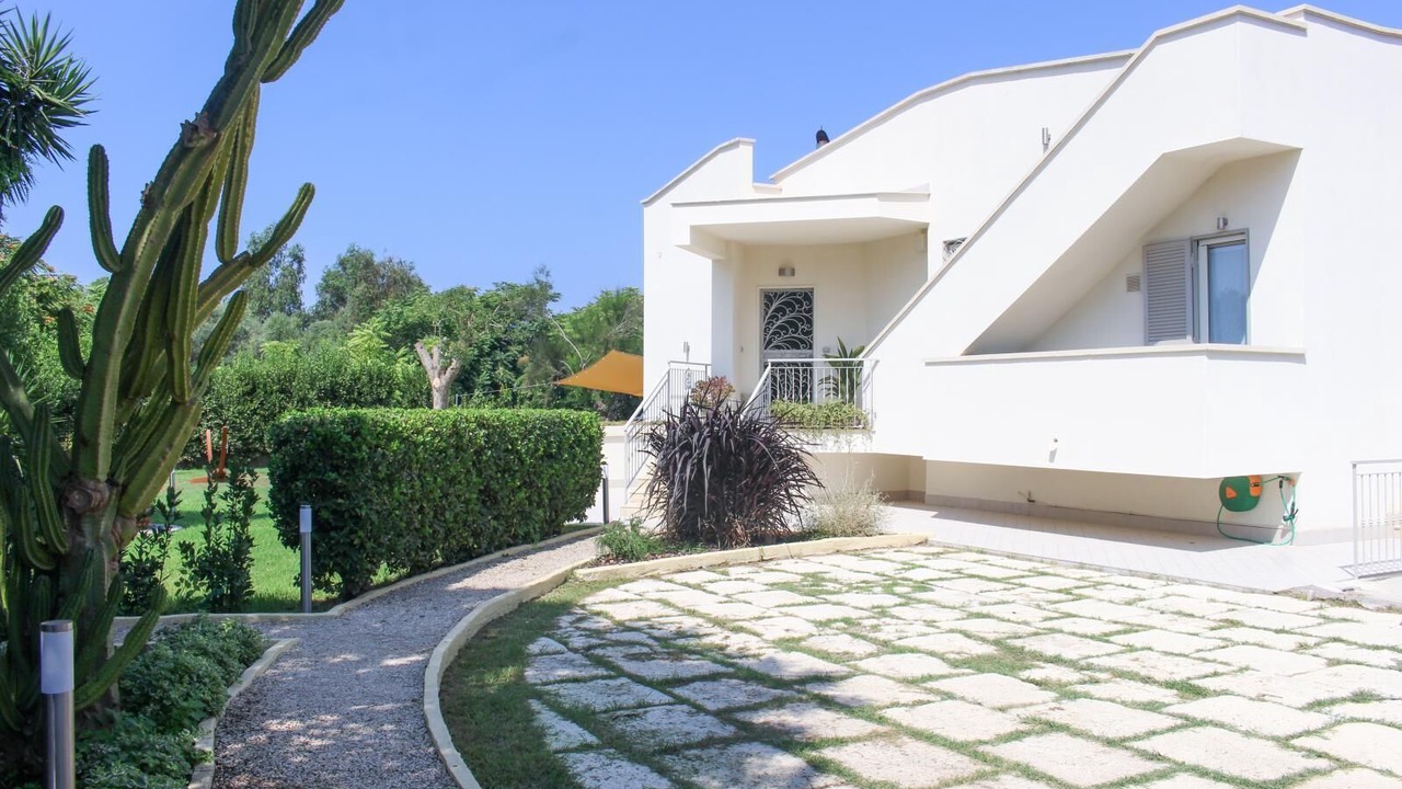 Photo of Outdoor in Licola