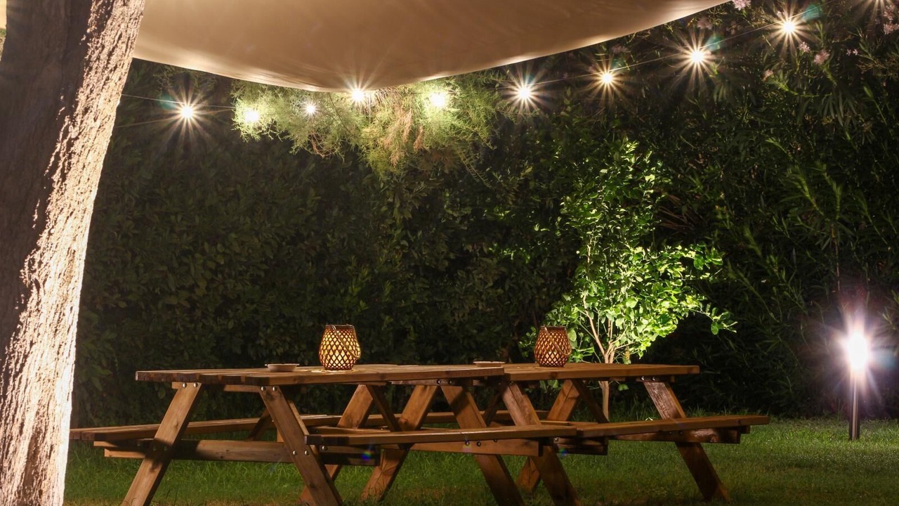 Photo of Outdoor in Licola