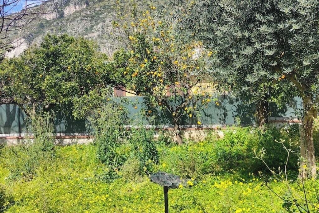 Photo of Outdoor in Meta