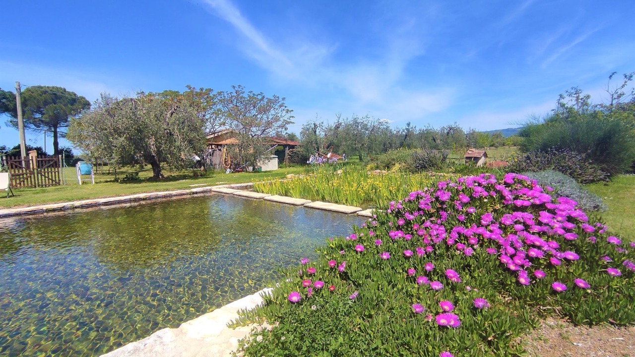 Photo of Outdoor in Roccastrada