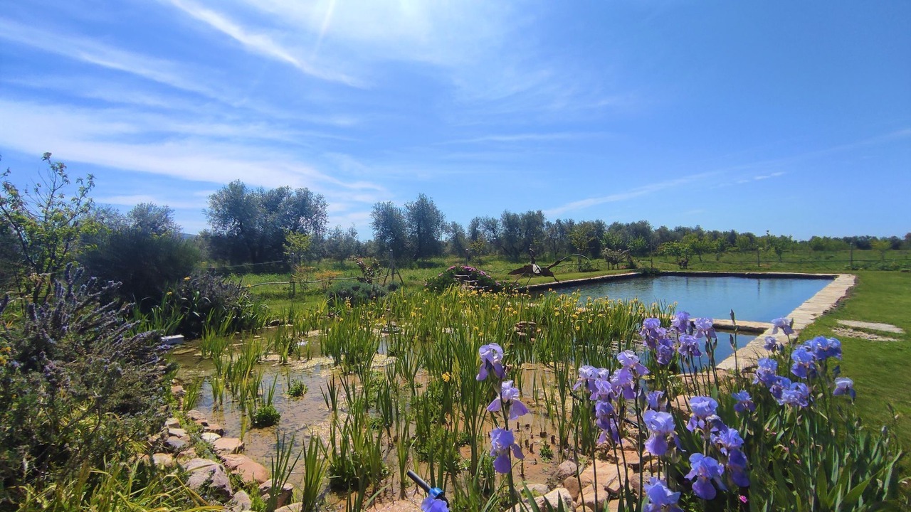 Photo of Outdoor in Roccastrada