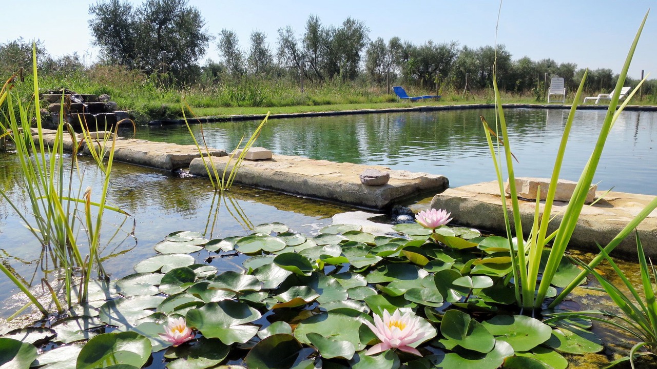 Photo of Outdoor in Roccastrada