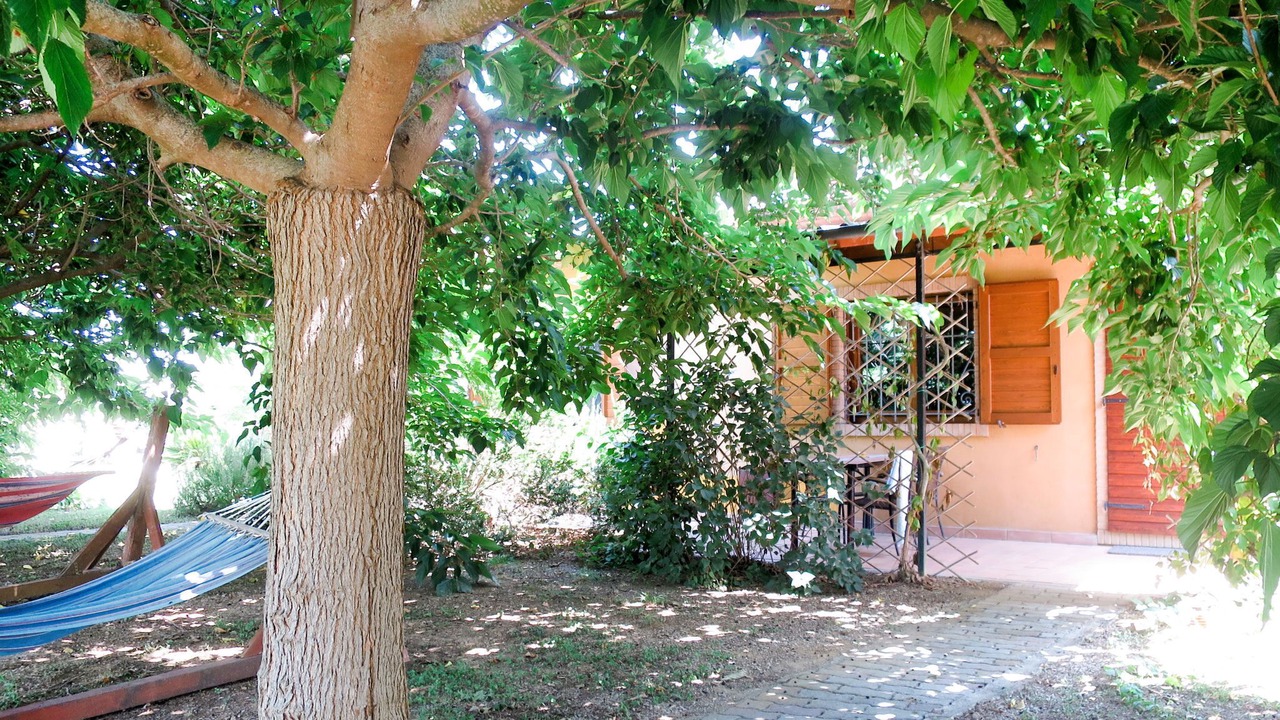 Photo of Others in Roccastrada