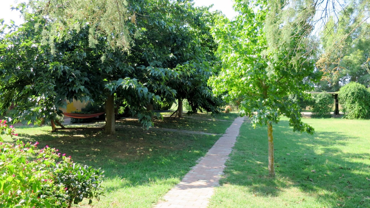 Photo of Outdoor in Roccastrada