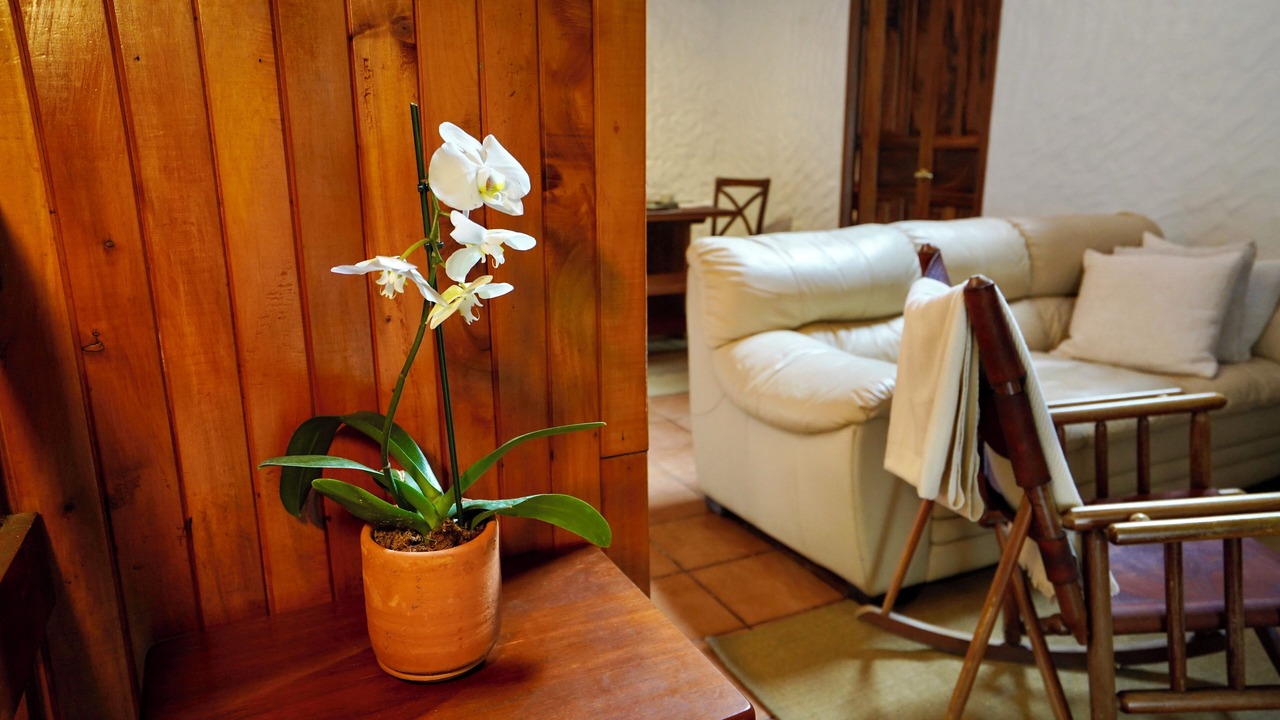 Photo of Livingroom in San Josecito