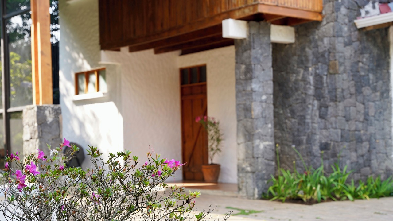 Photo of Outdoor in San Josecito