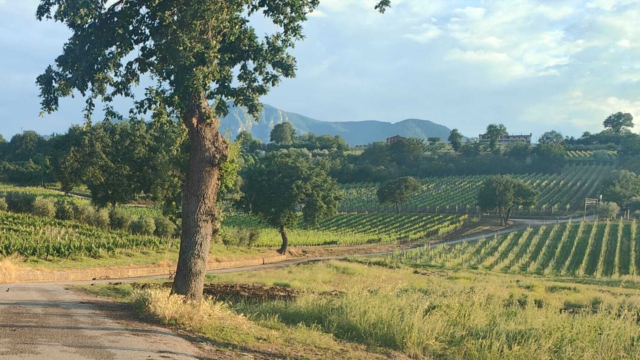 Photo of Outdoor in Sant'Angelo all'Esca