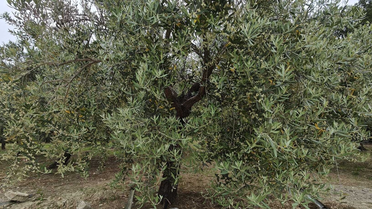 Photo of Outdoor in Sant'Angelo all'Esca