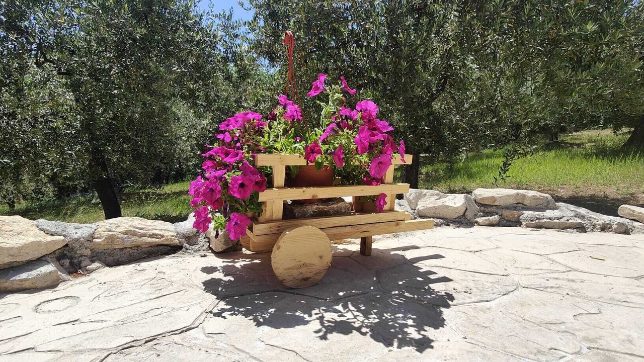Photo of Outdoor in Sant'Angelo all'Esca