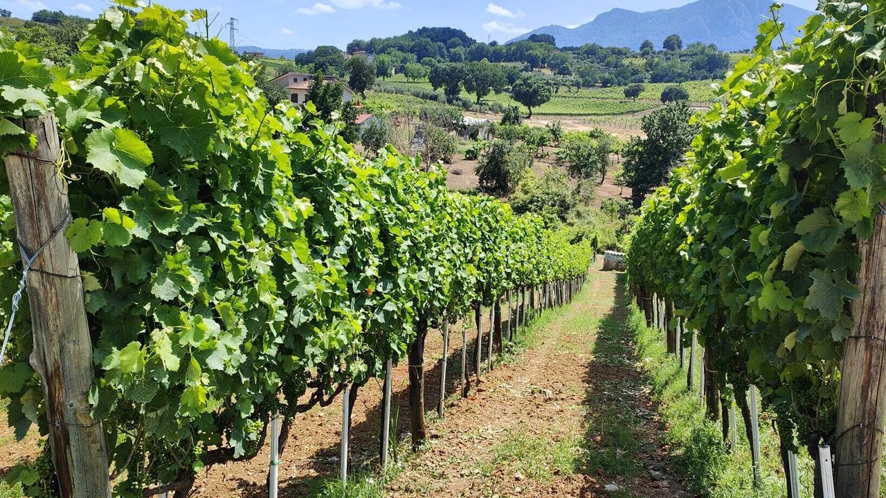 Photo of Outdoor in Sant'Angelo all'Esca