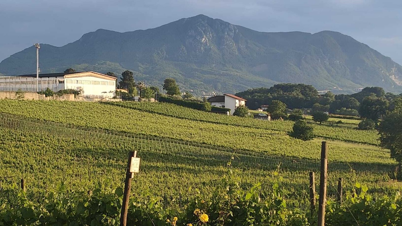 Photo of Outdoor in Sant'Angelo all'Esca