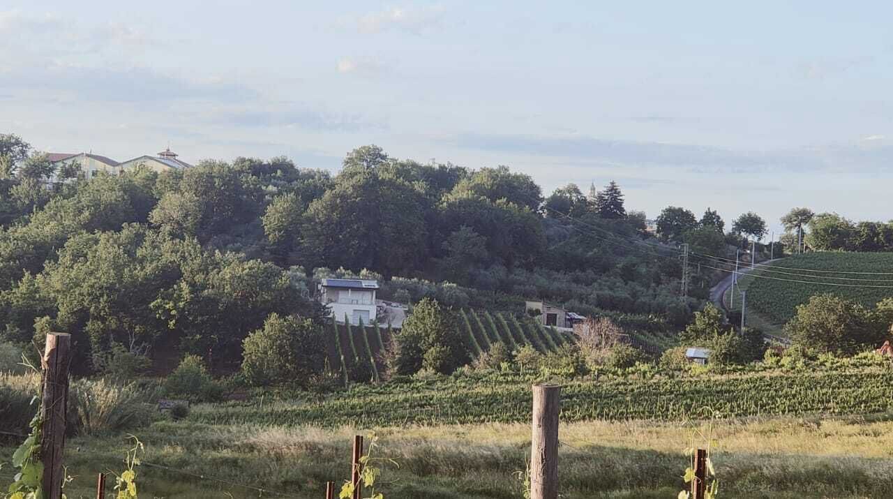 Photo of Outdoor in Sant'Angelo all'Esca