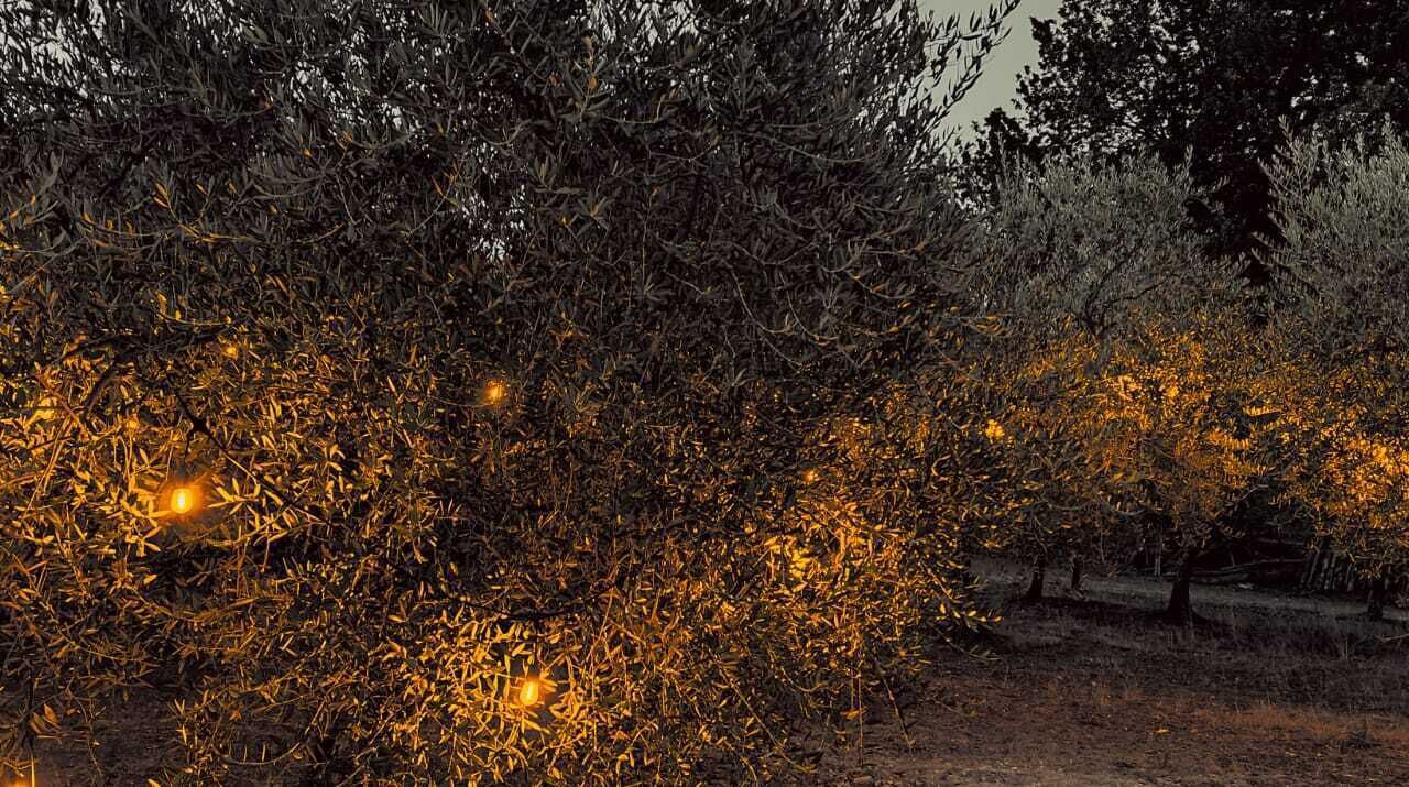 Photo of Outdoor in Sant'Angelo all'Esca