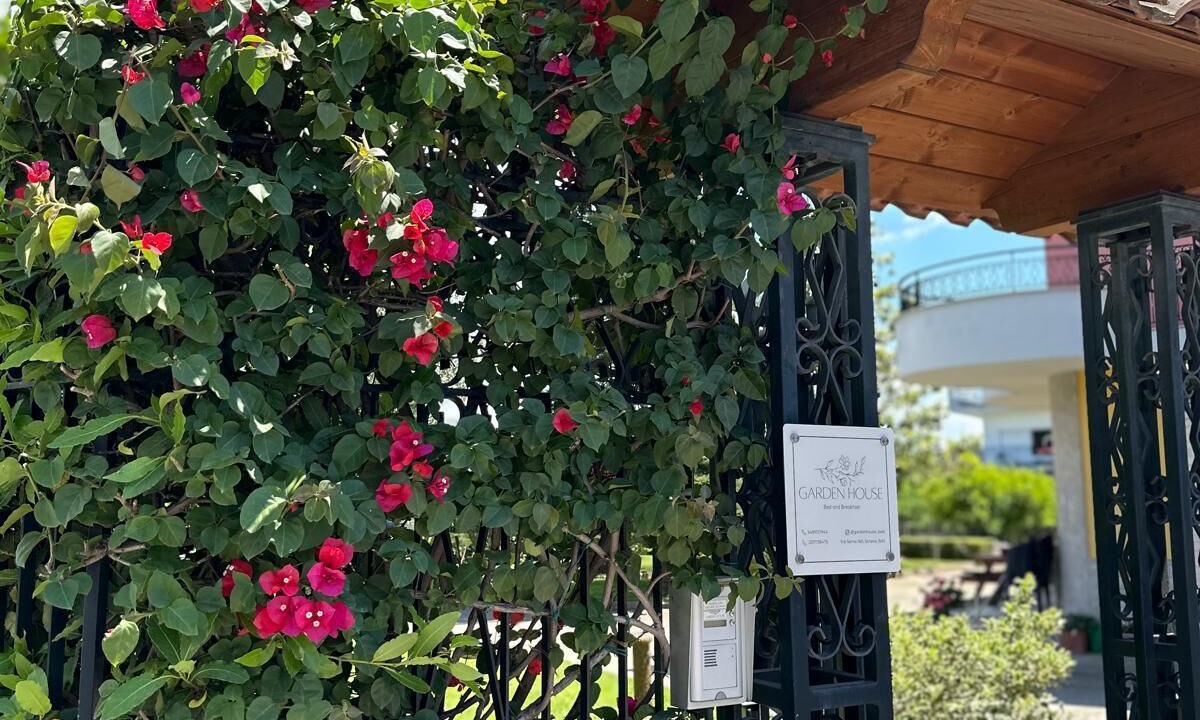 Photo of Outdoor in Striano