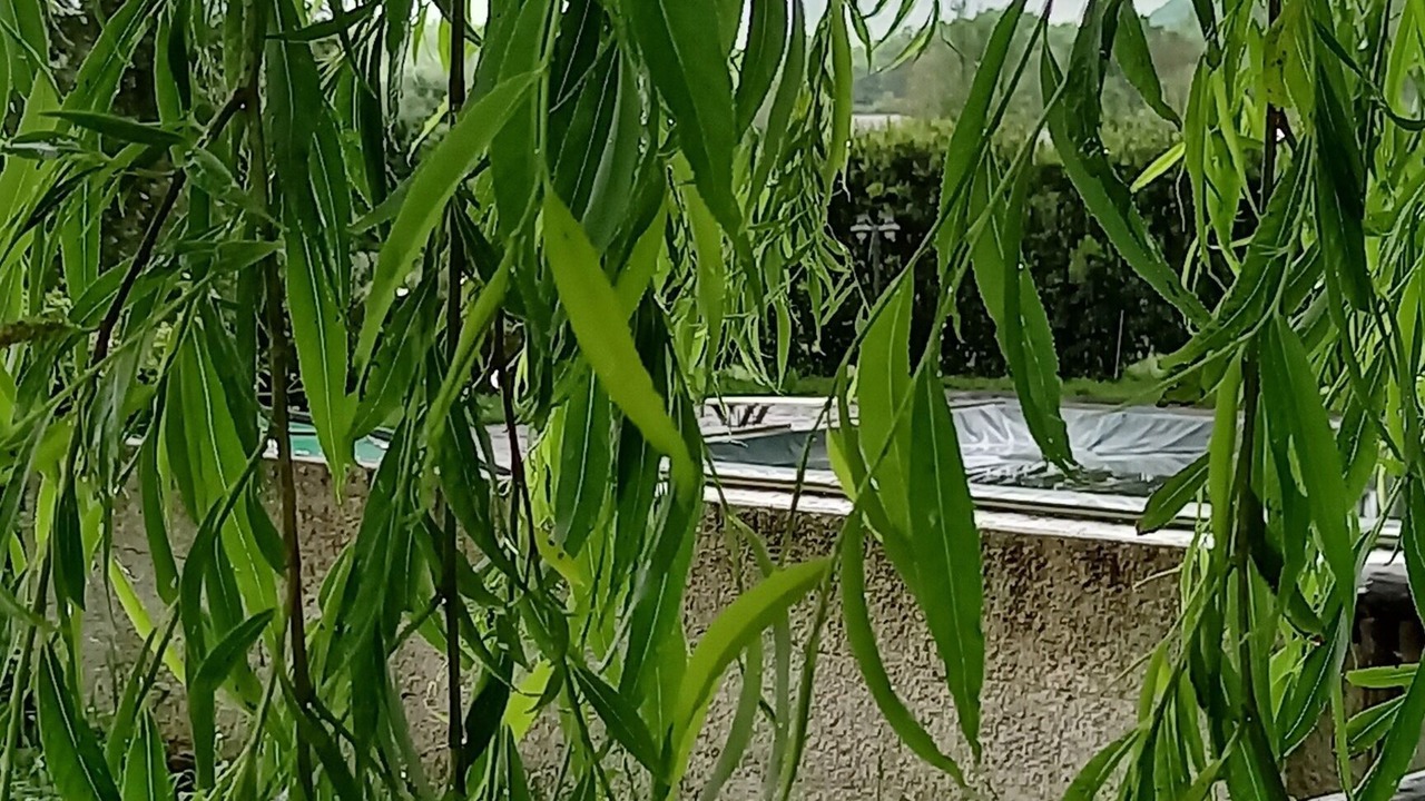 Photo of Outdoor in Liberi