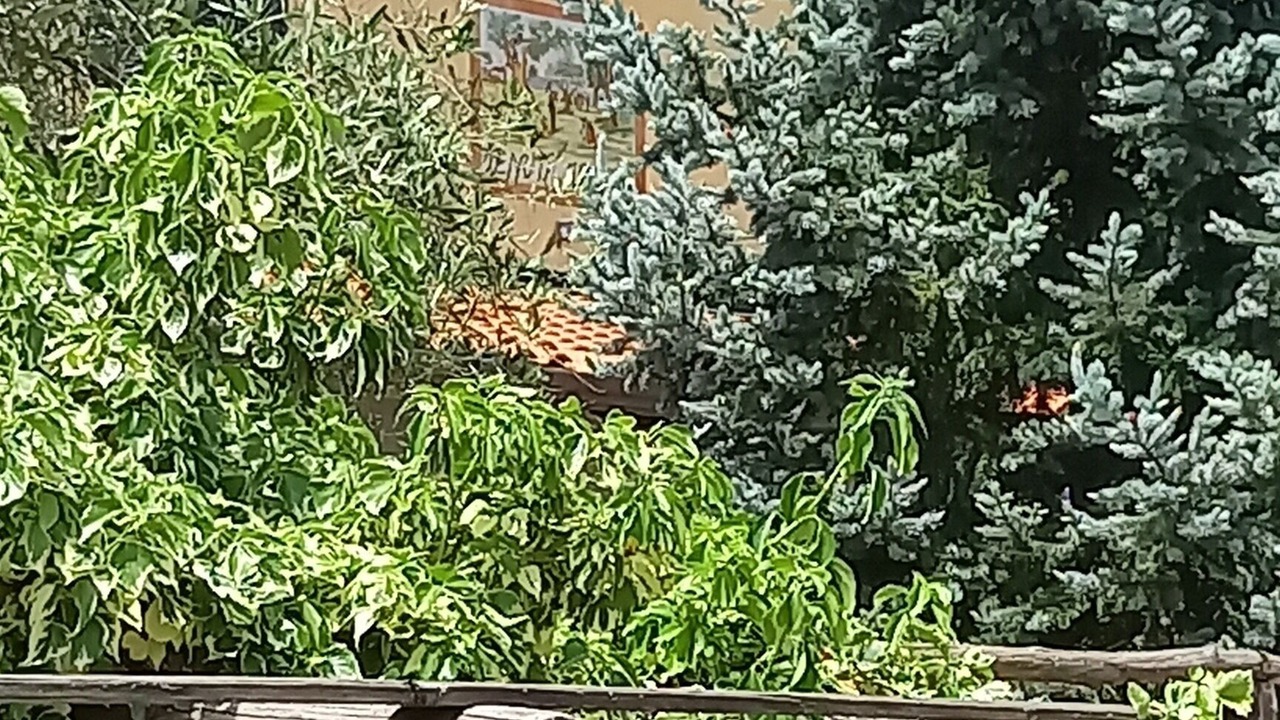 Photo of Outdoor in Liberi