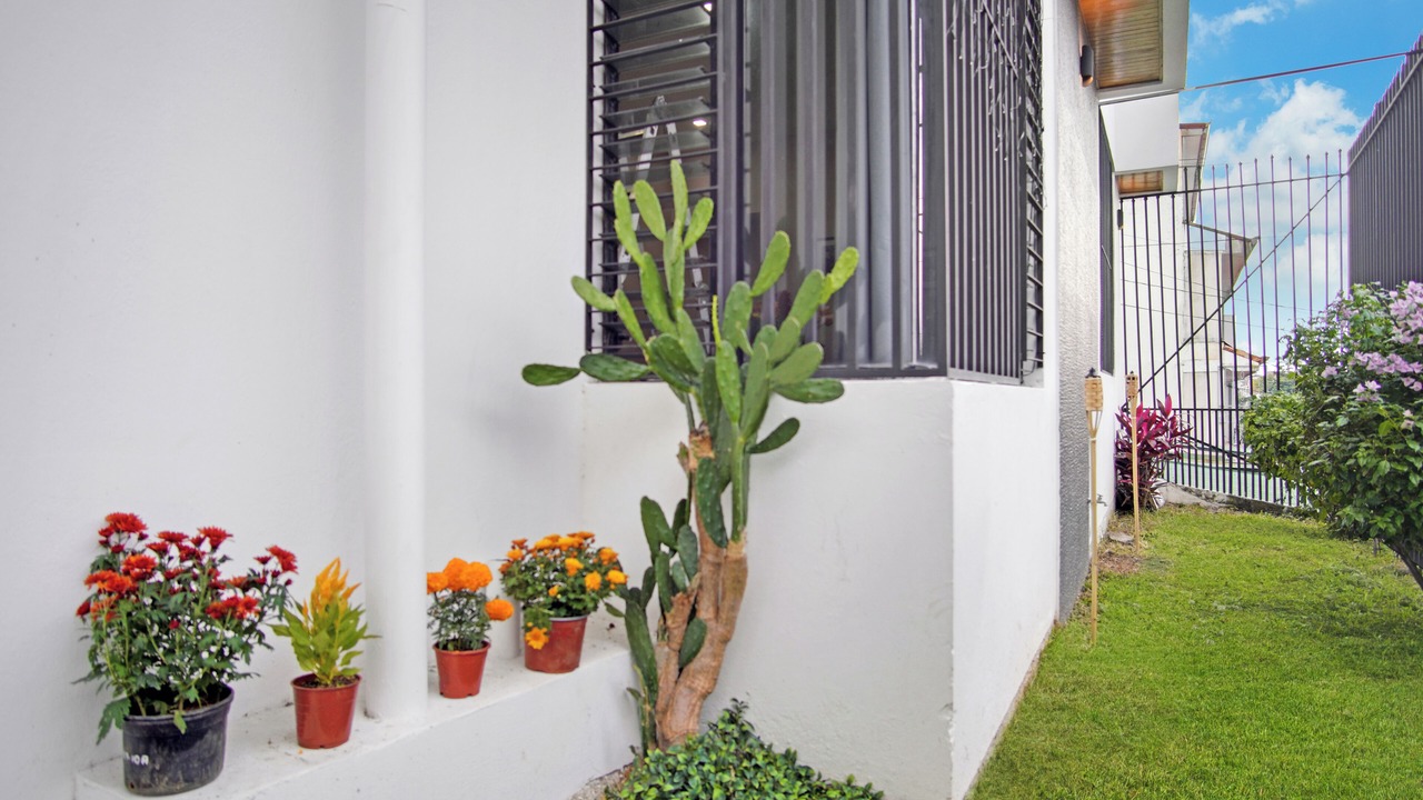 Photo of Patio Balcony in Pavas