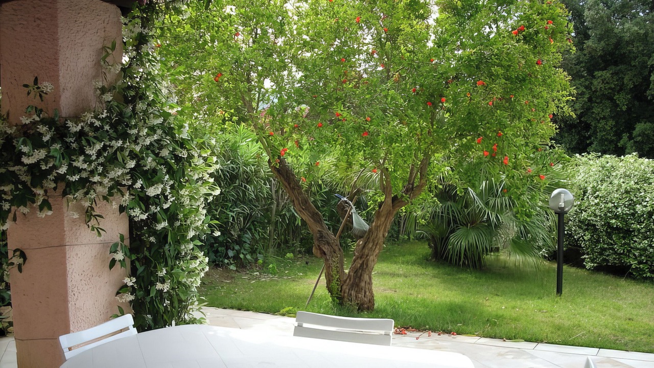 Photo of Outdoor in Porto Rotondo