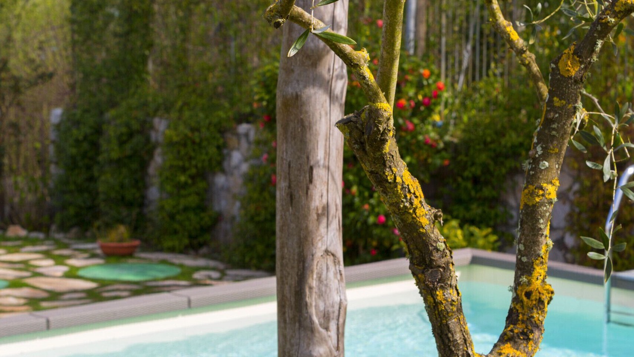 Photo of Outdoor in Sant'Agata sui Due Golfi