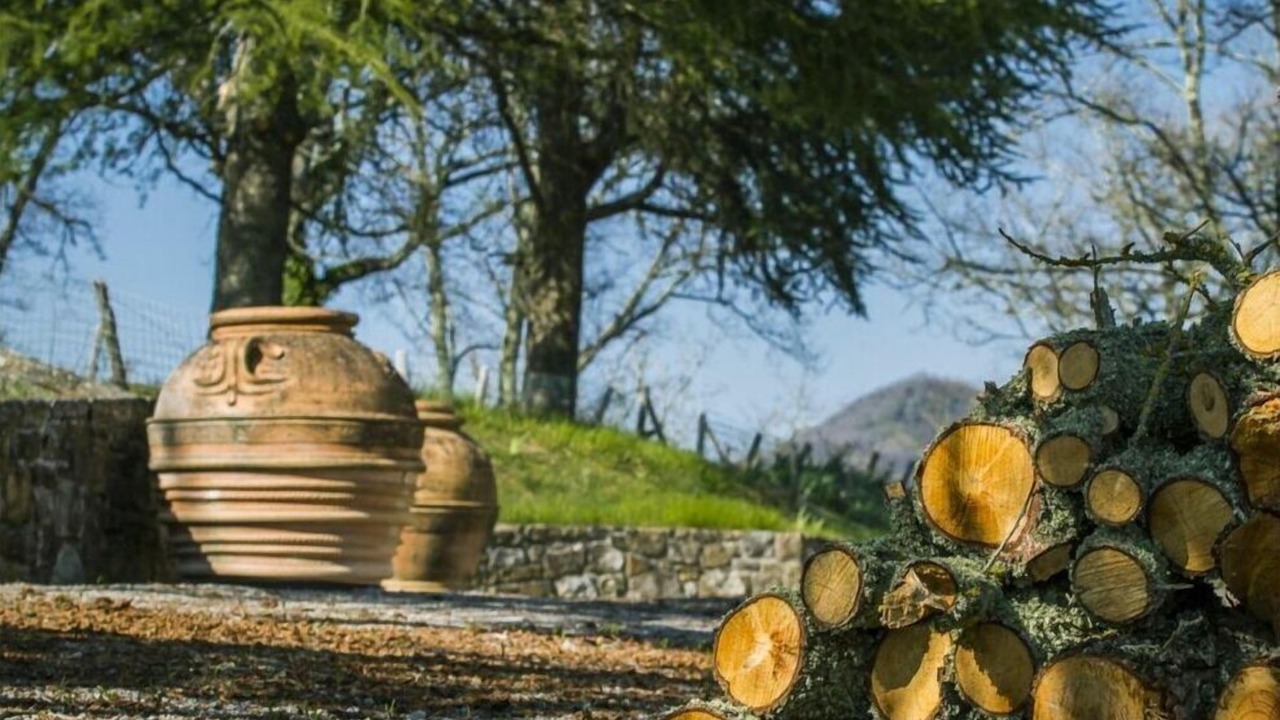 Photo of Outdoor in Gaiole in Chianti