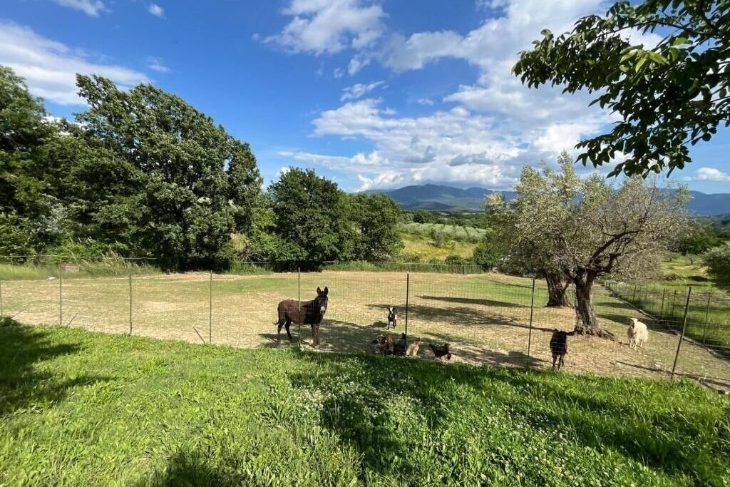 Photo of Outdoor in Colli al Volturno