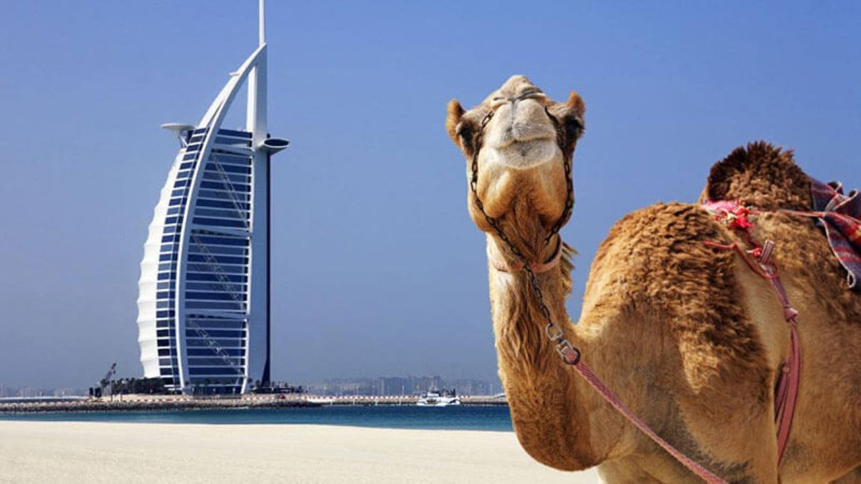 Photo of Others in DIFC