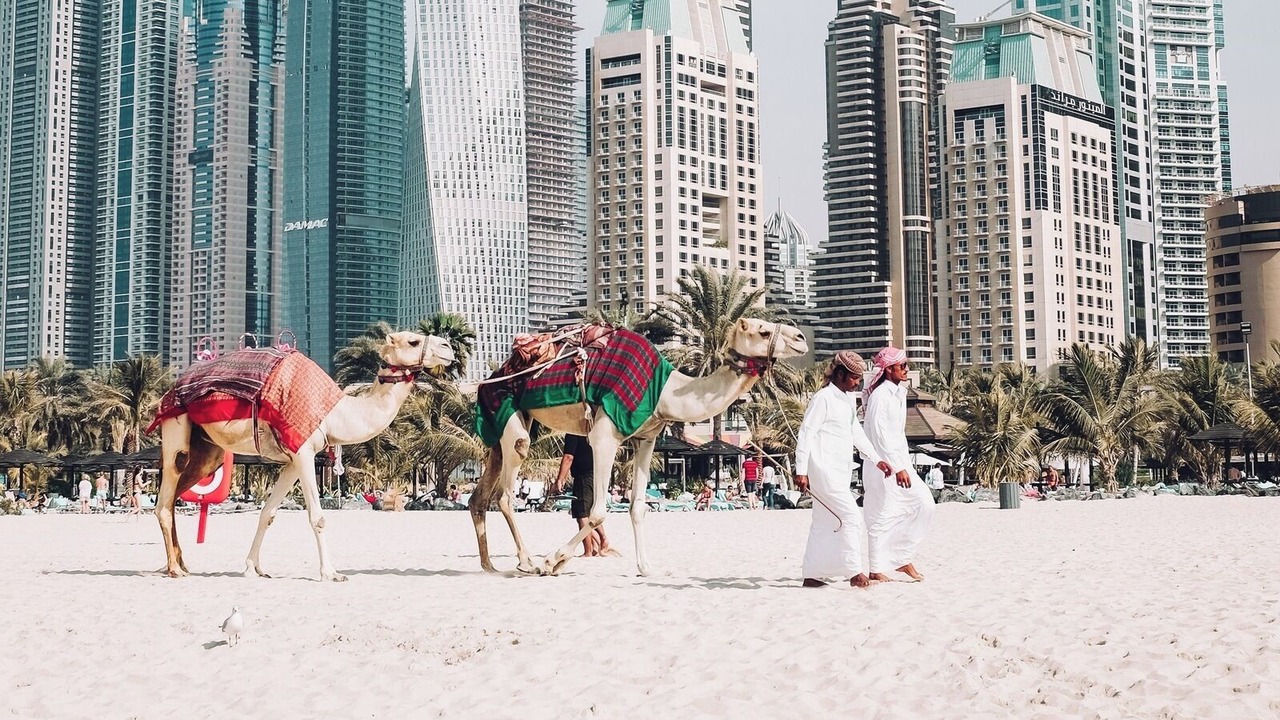 Photo of Others in Al Barsha 1