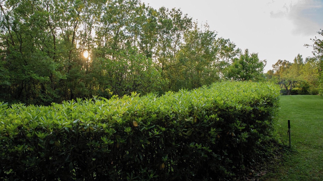 Photo of Outdoor in Alvignano