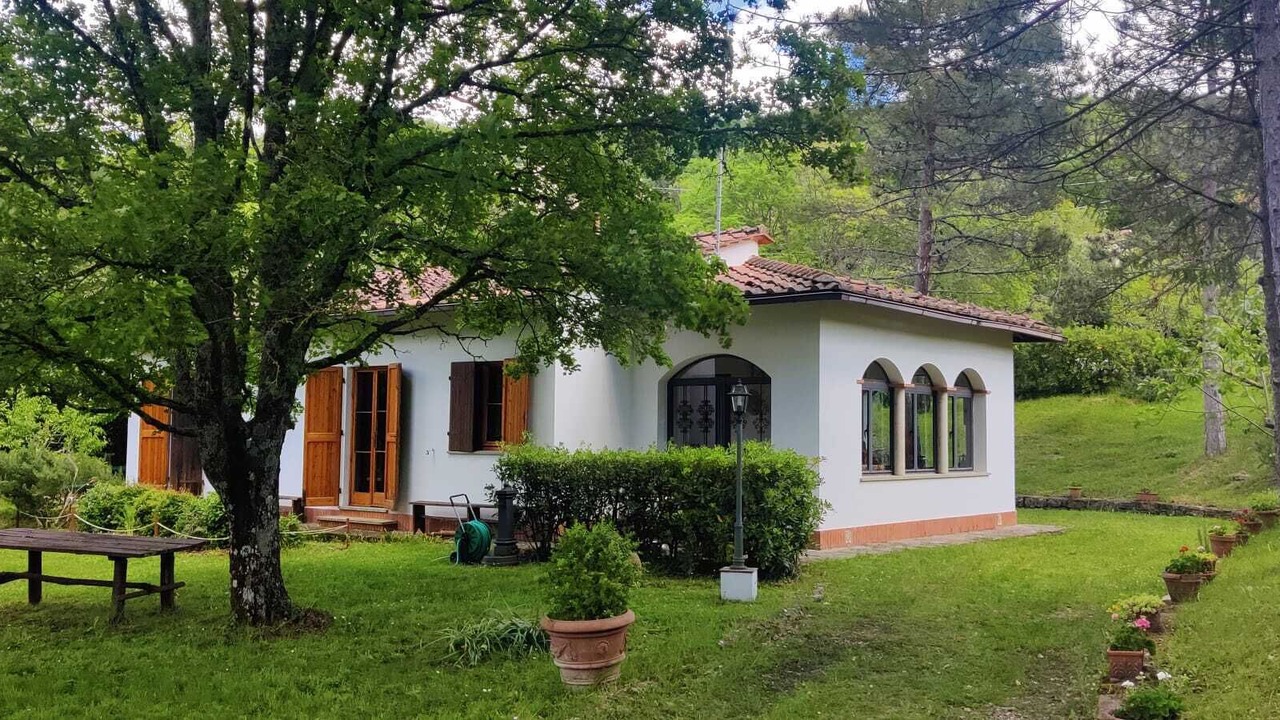 Photo of Outdoor in Rufina