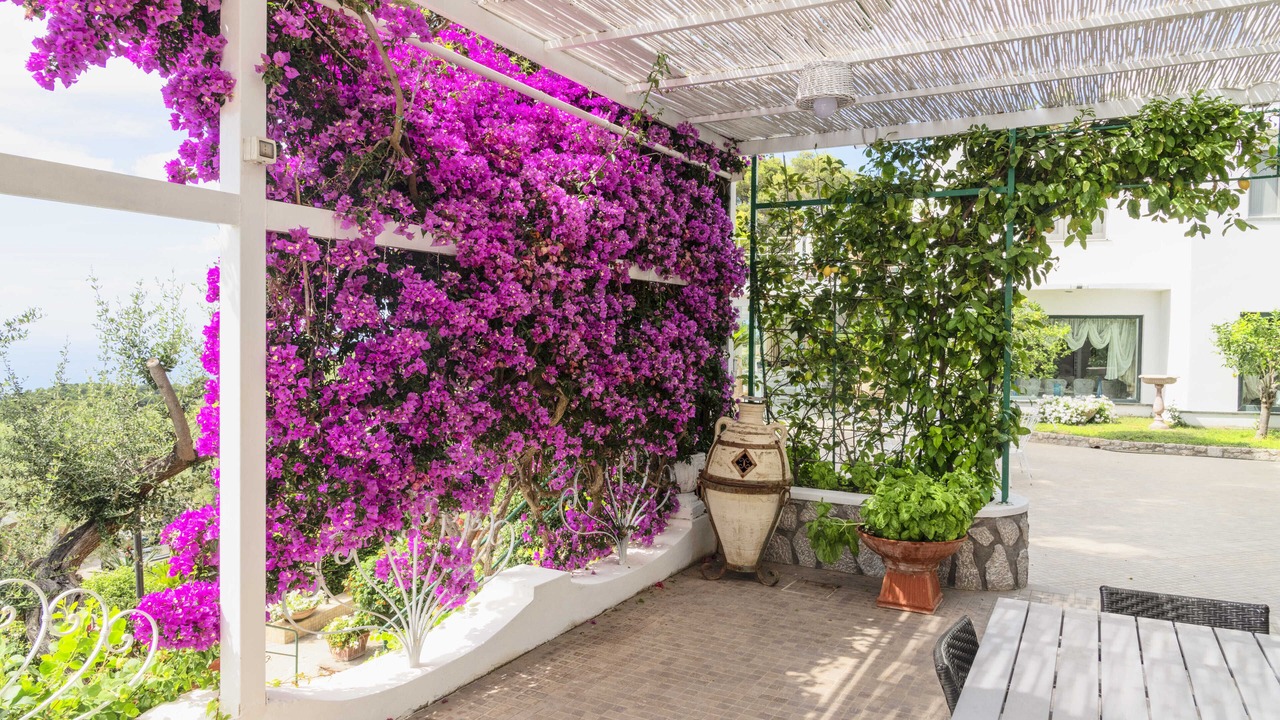 Photo of Outdoor in Anacapri