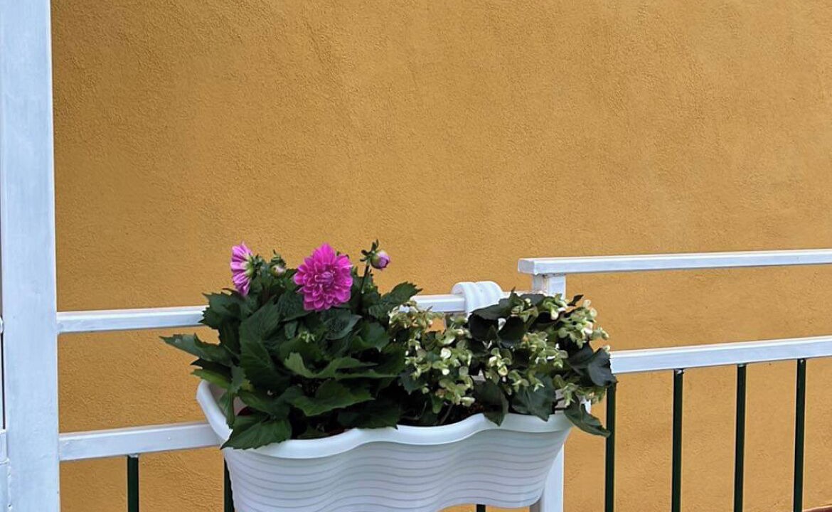 Photo of Outdoor in Torre Annunziata