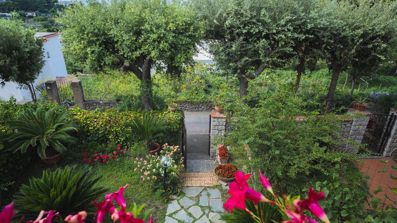 Photo of Outdoor in Tiberio