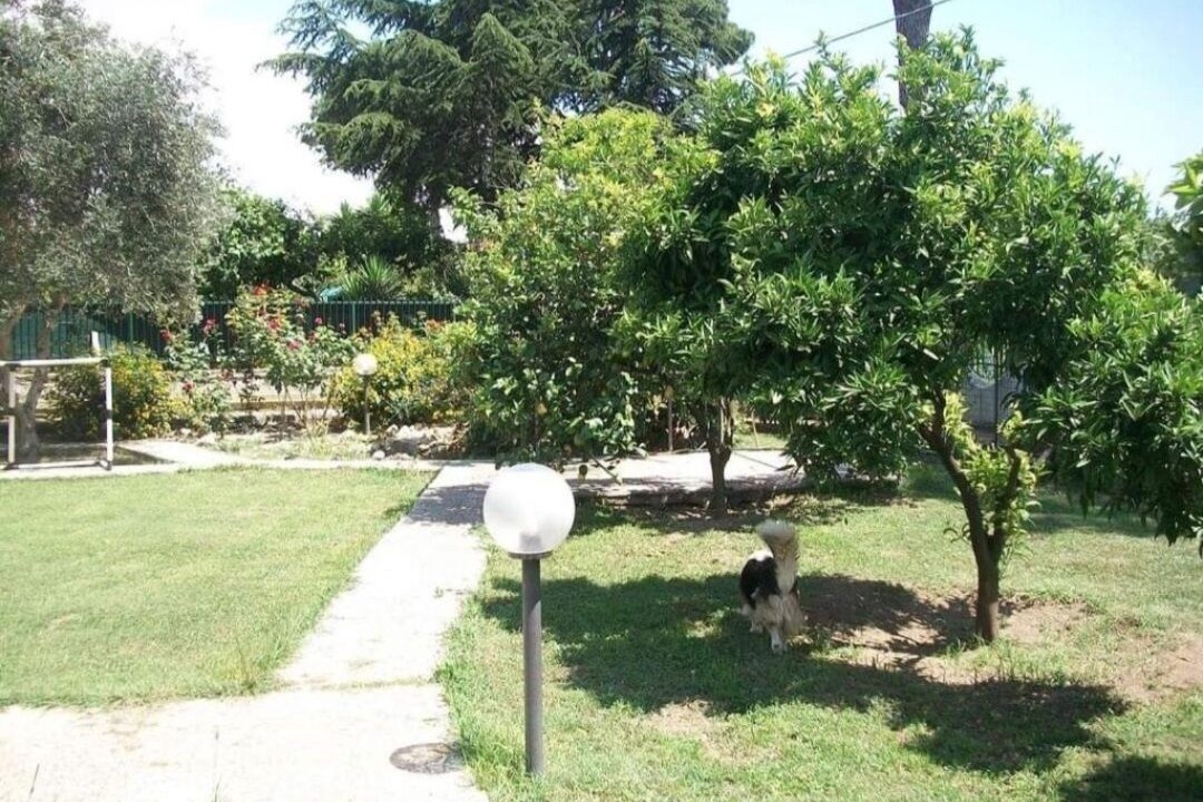 Photo of Outdoor in Giugliano in Campania
