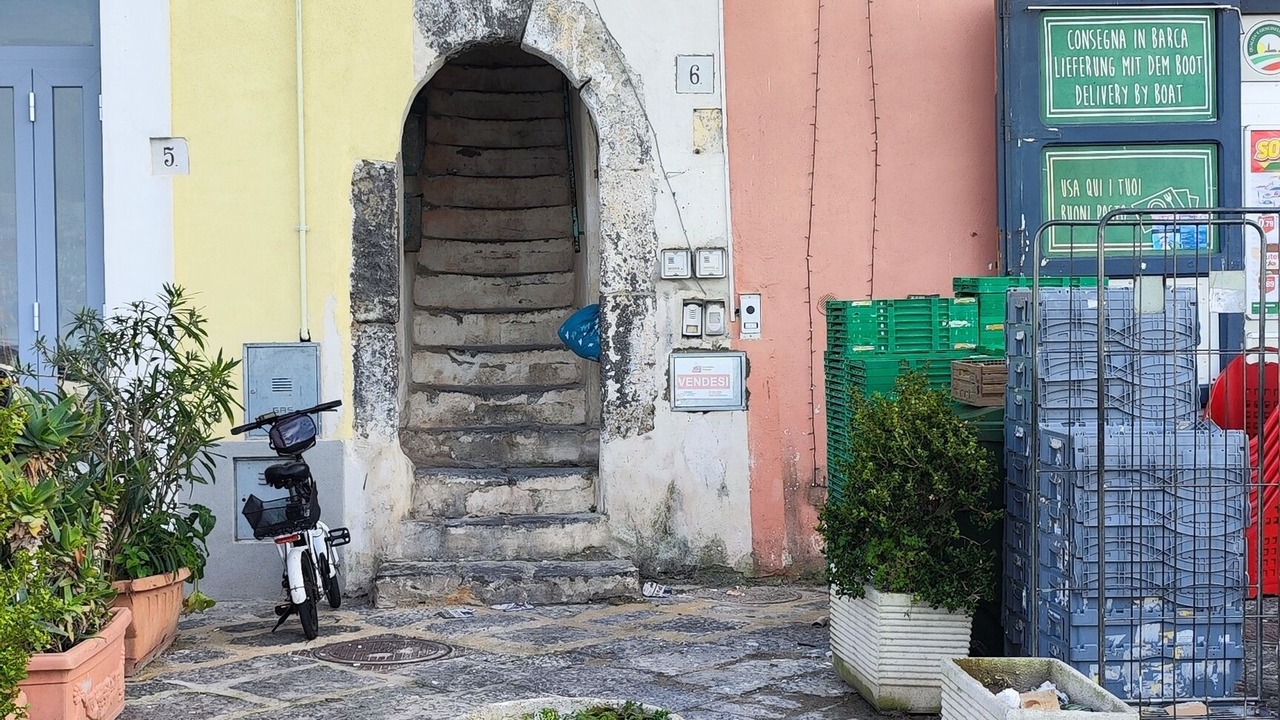 Photo of Outdoor in Licola