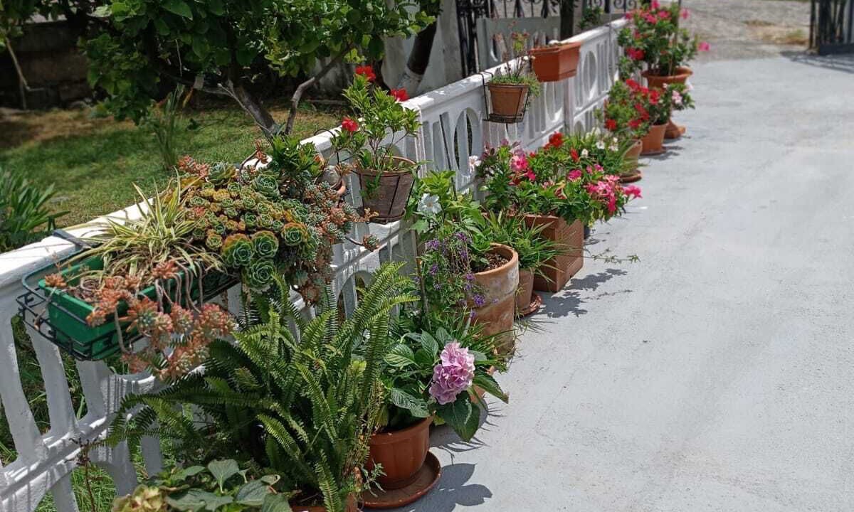 Photo of Outdoor in Tortora Marina