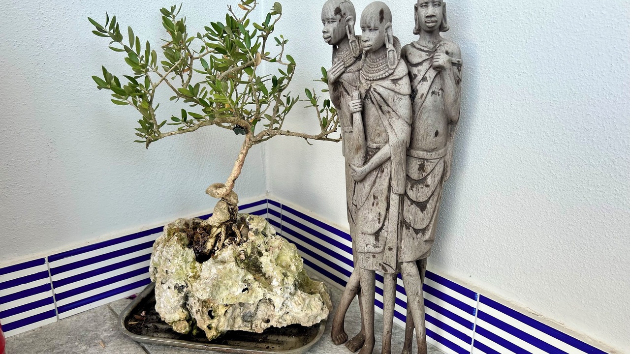 Photo of Others in Piano di Sorrento