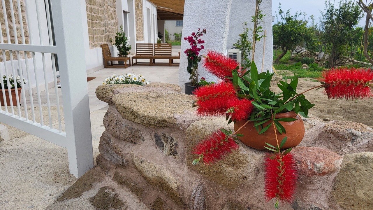 Photo of Outdoor in Licola