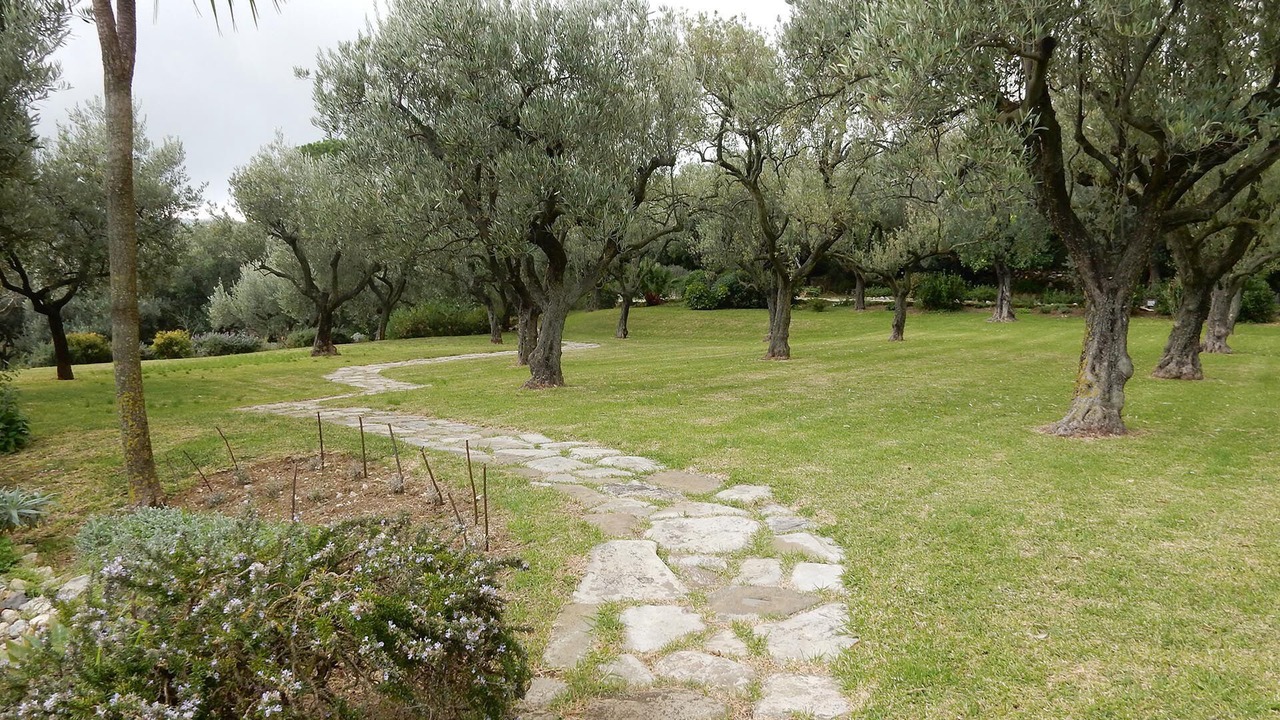 Photo of Outdoor in San Pietro