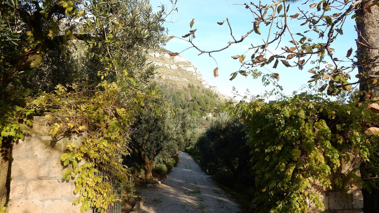 Photo of Outdoor in Piano di Sorrento