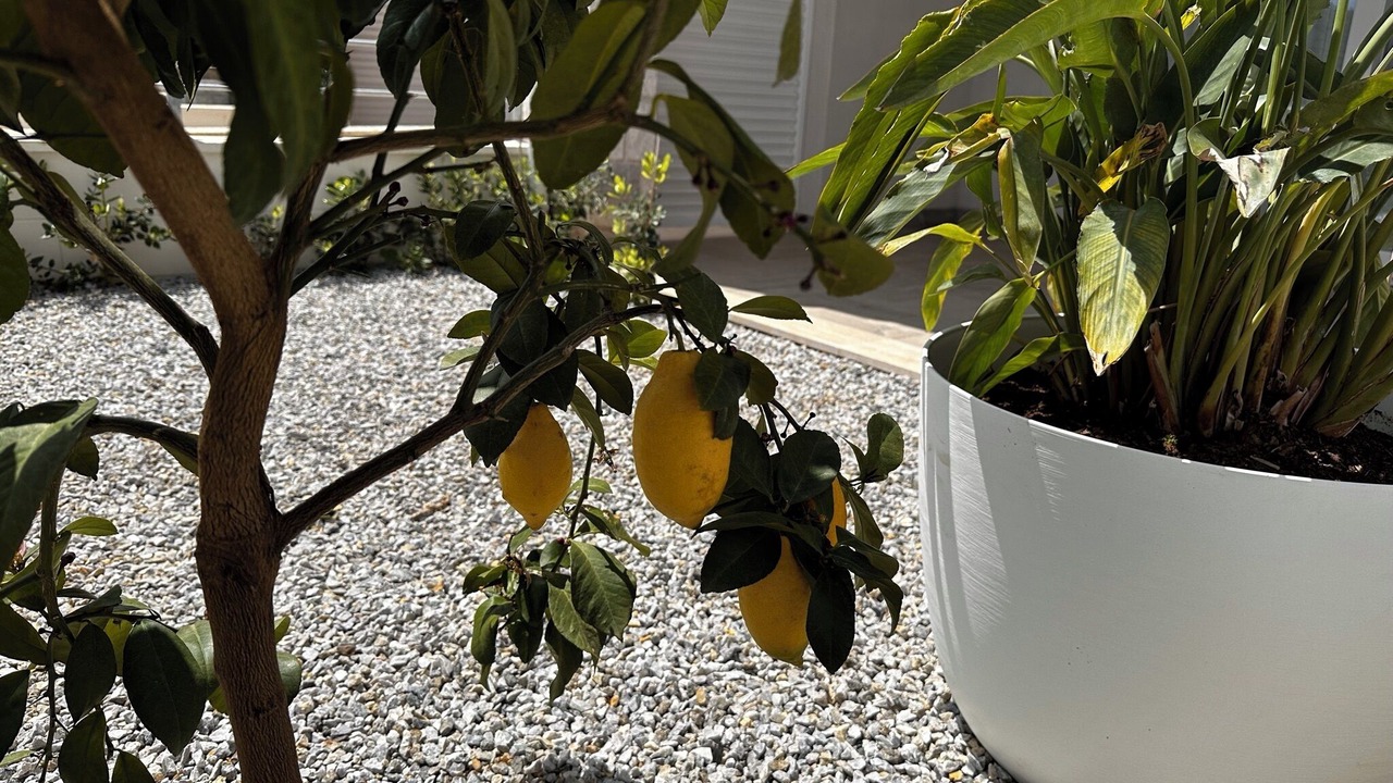 Photo of Outdoor in Drapia