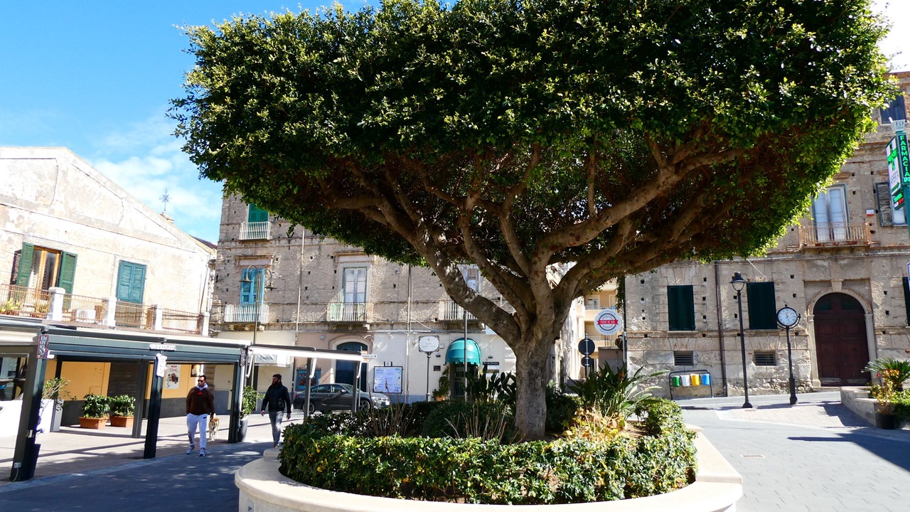Photo of Outdoor in Drapia